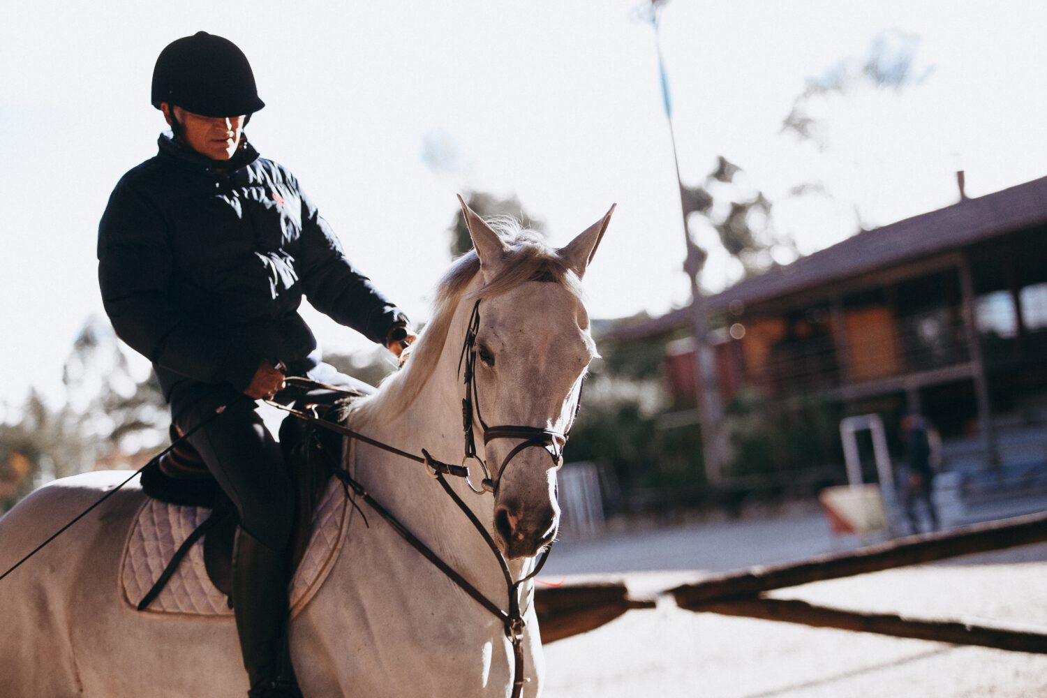 Sprzęt jeździecki – gdzie znajdziesz najlepszy do realizacji swojego hobby?